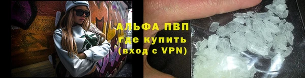 стаф Белоозёрский