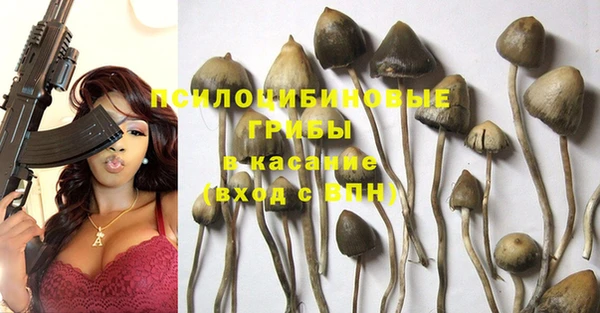 кокаин Белокуриха