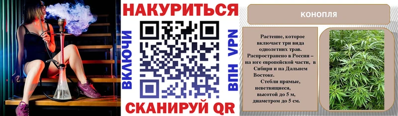 Канабис конопля Кириши